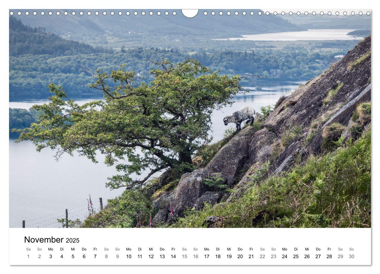 Bild: 9783383914881 | Lake District - Ein Juwel Englands (Wandkalender 2025 DIN A3 quer),...