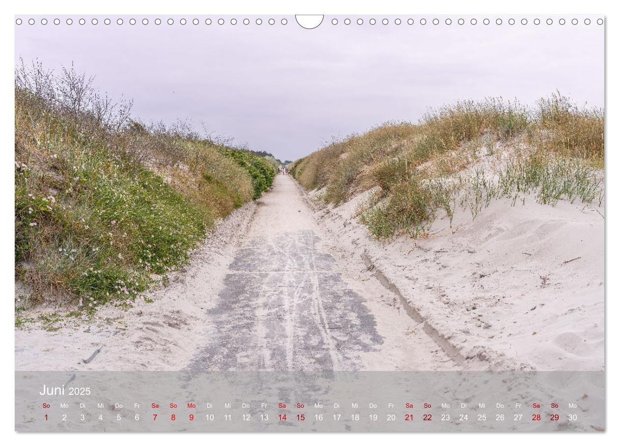 Bild: 9783383867804 | Inseelfeeling - Hiddensee (Wandkalender 2025 DIN A3 quer), CALVENDO...