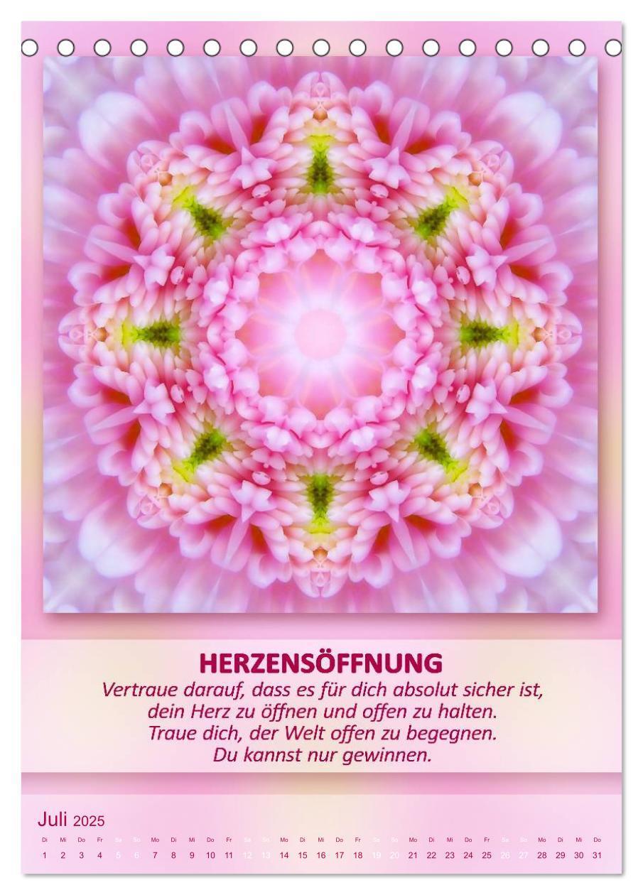 Bild: 9783457079515 | Light Energy Mandalas - Kalender - Vol. 1 (Tischkalender 2025 DIN...