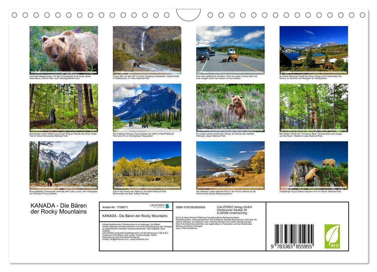 Bild: 9783383855955 | KANADA - Die Bären der Rocky Mountains (Wandkalender 2025 DIN A4...