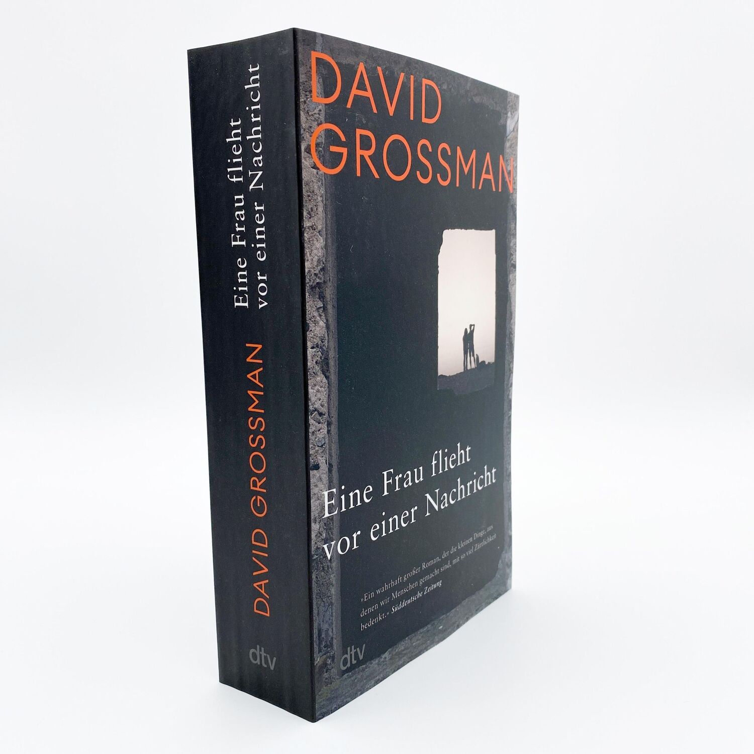 Bild: 9783423148597 | Eine Frau flieht vor einer Nachricht | David Grossman | Taschenbuch