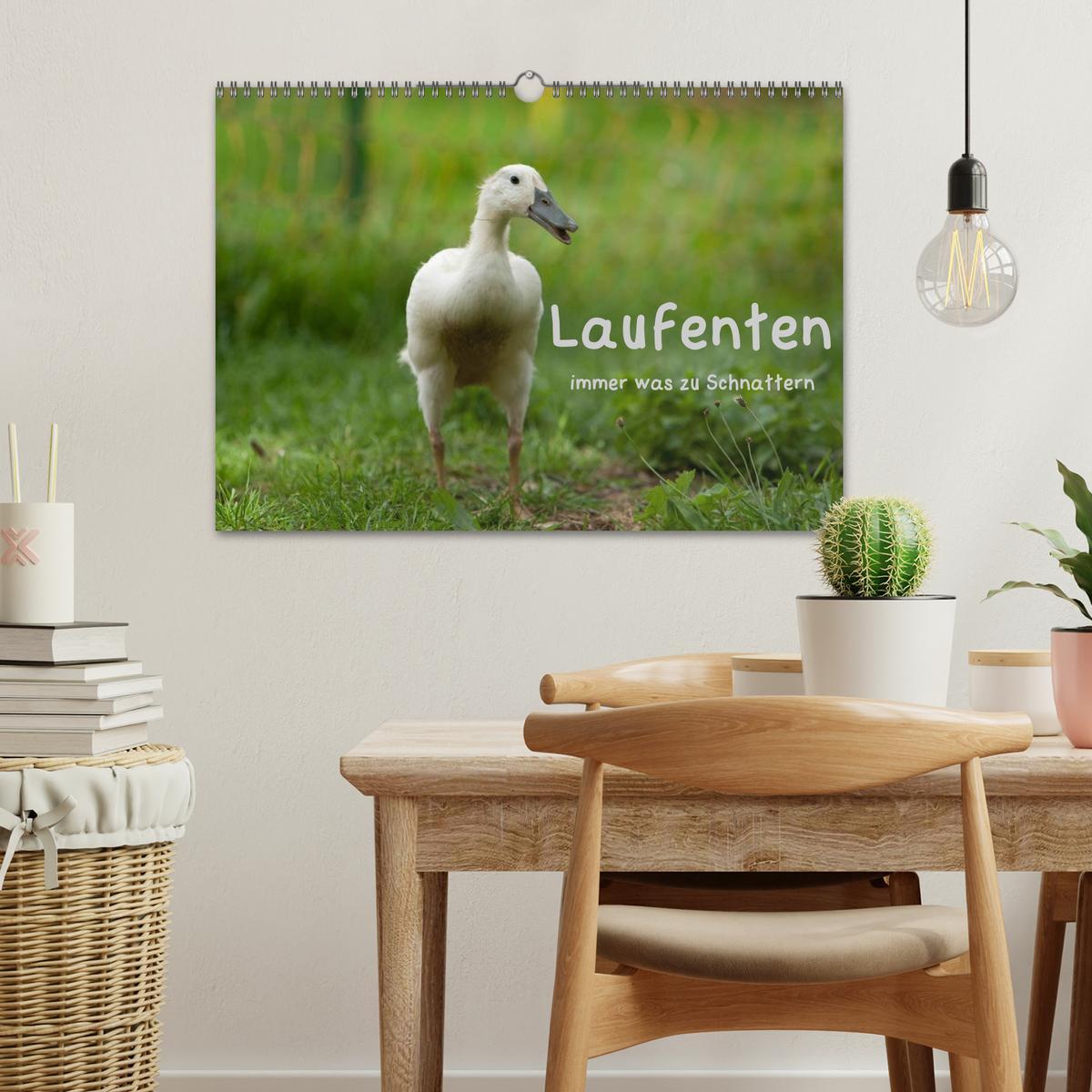 Bild: 9783435568925 | Laufenten immer was zu Schnattern (Wandkalender 2025 DIN A3 quer),...