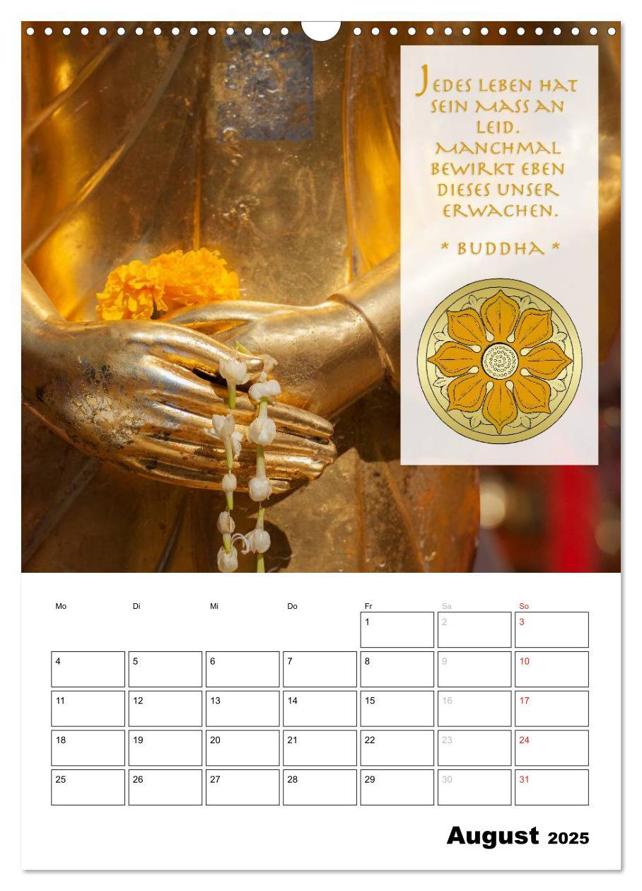 Bild: 9783457013021 | BUDDHAS ZITATE Buddhistische Weisheiten (Wandkalender 2025 DIN A3...