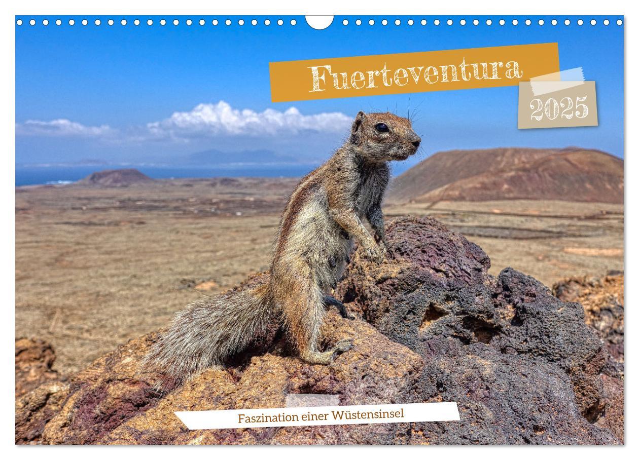 Cover: 9783435073184 | Fuerteventura - Faszination einer Wüsteninsel (Wandkalender 2025...