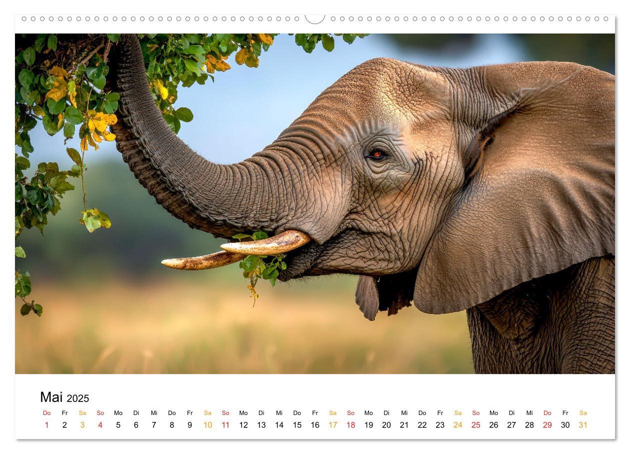 Bild: 9783457240496 | Elefanten - Riesen der Wildnis (Wandkalender 2025 DIN A2 quer),...