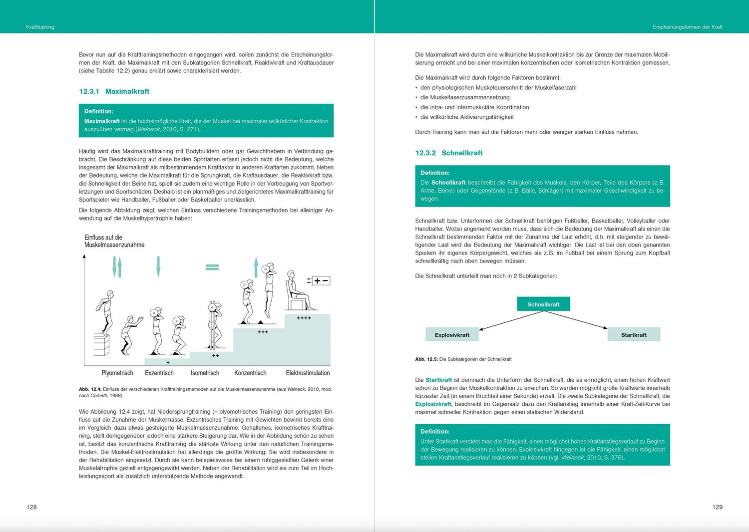 Bild: 9783964161017 | Fit im Schulsport | Optimales Sportwissen für das Sportprofil | Buch