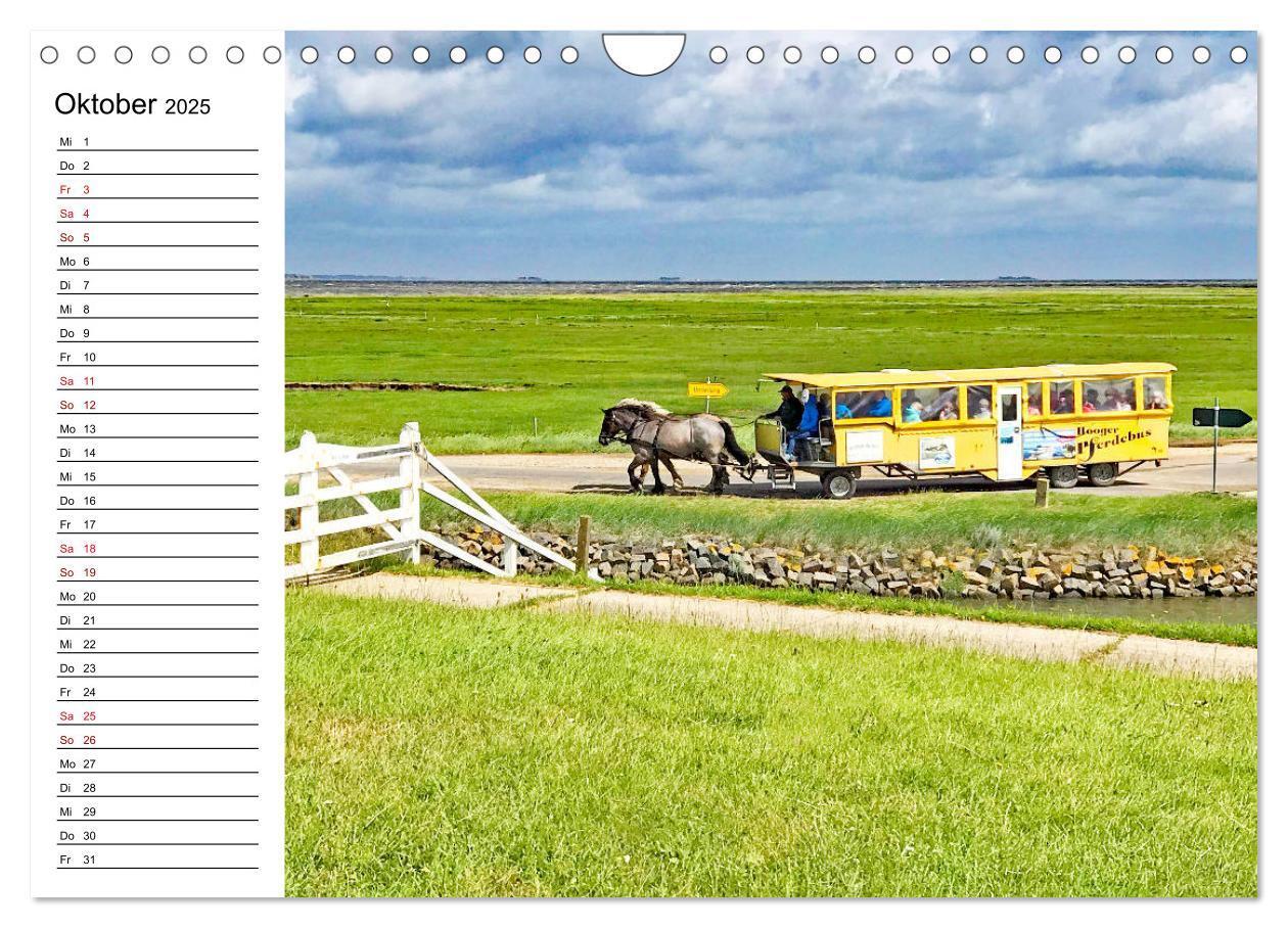 Bild: 9783435115648 | Hallig Hooge - Romantik Pur (Wandkalender 2025 DIN A4 quer),...