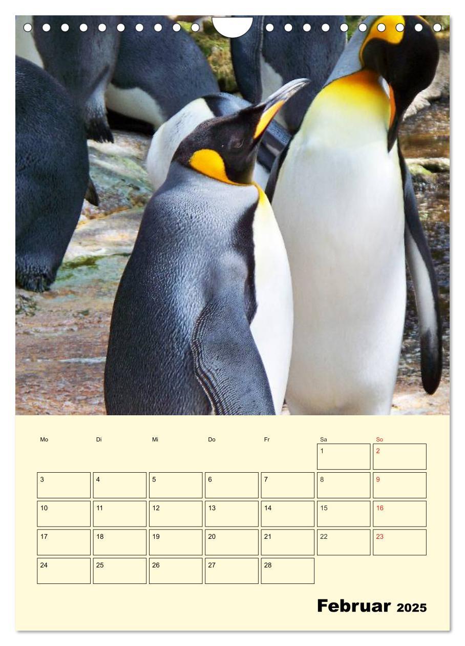 Bild: 9783457018637 | Pinguine. Wackeln im Thermo-Frack (Wandkalender 2025 DIN A4 hoch),...