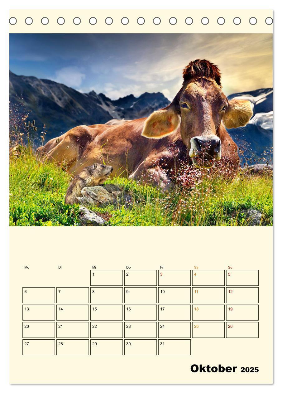 Bild: 9783435895526 | Glückliche Bergkühe (Tischkalender 2025 DIN A5 hoch), CALVENDO...