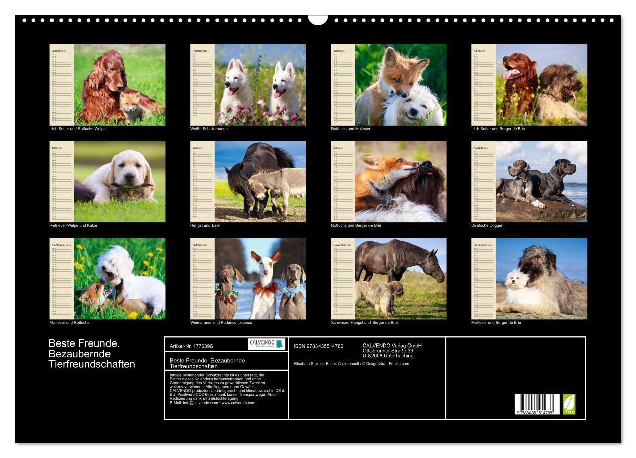 Bild: 9783435514786 | Beste Freunde. Bezaubernde Tierfreundschaften (Wandkalender 2025...