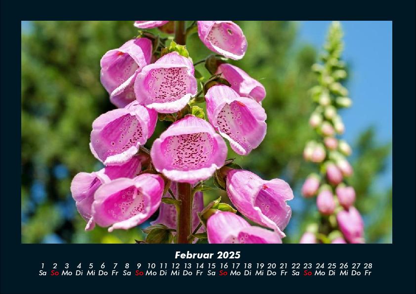 Bild: 9783755993346 | Blumenkalender 2025 Fotokalender DIN A4 | Tobias Becker | Kalender