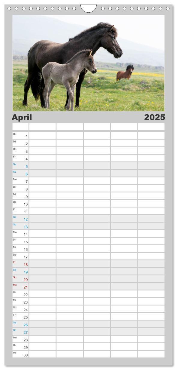 Bild: 9783457101568 | Familienplaner 2025 - Islandpferde Kalender - Pferde von der Insel...