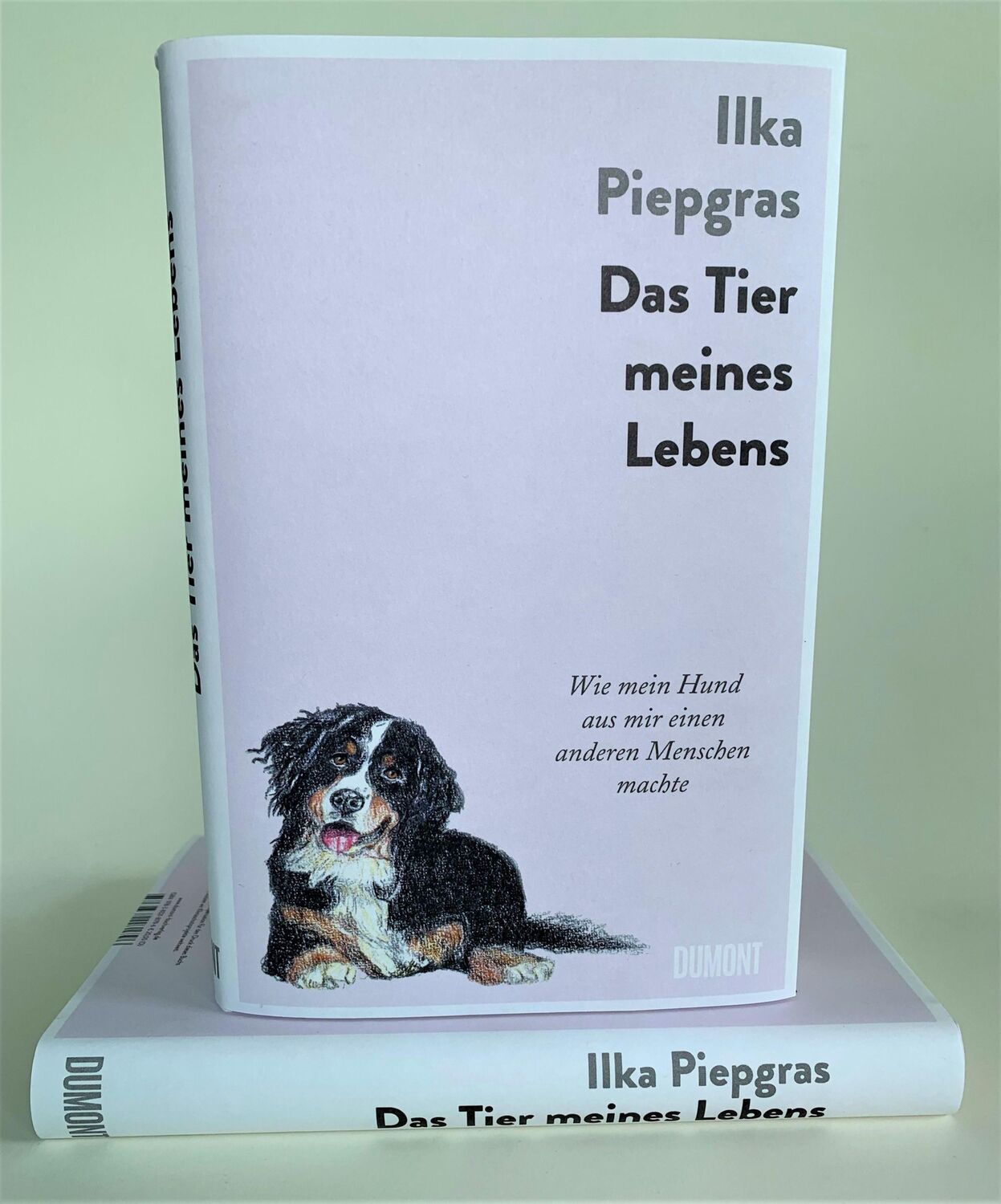 Bild: 9783832181796 | Das Tier meines Lebens | Ilka Piepgras | Buch | 224 S. | Deutsch