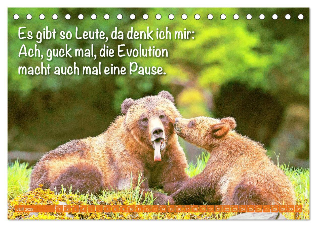 Bild: 9783383881855 | Spaß mit Bären: Edition lustige Tiere (Tischkalender 2025 DIN A5...