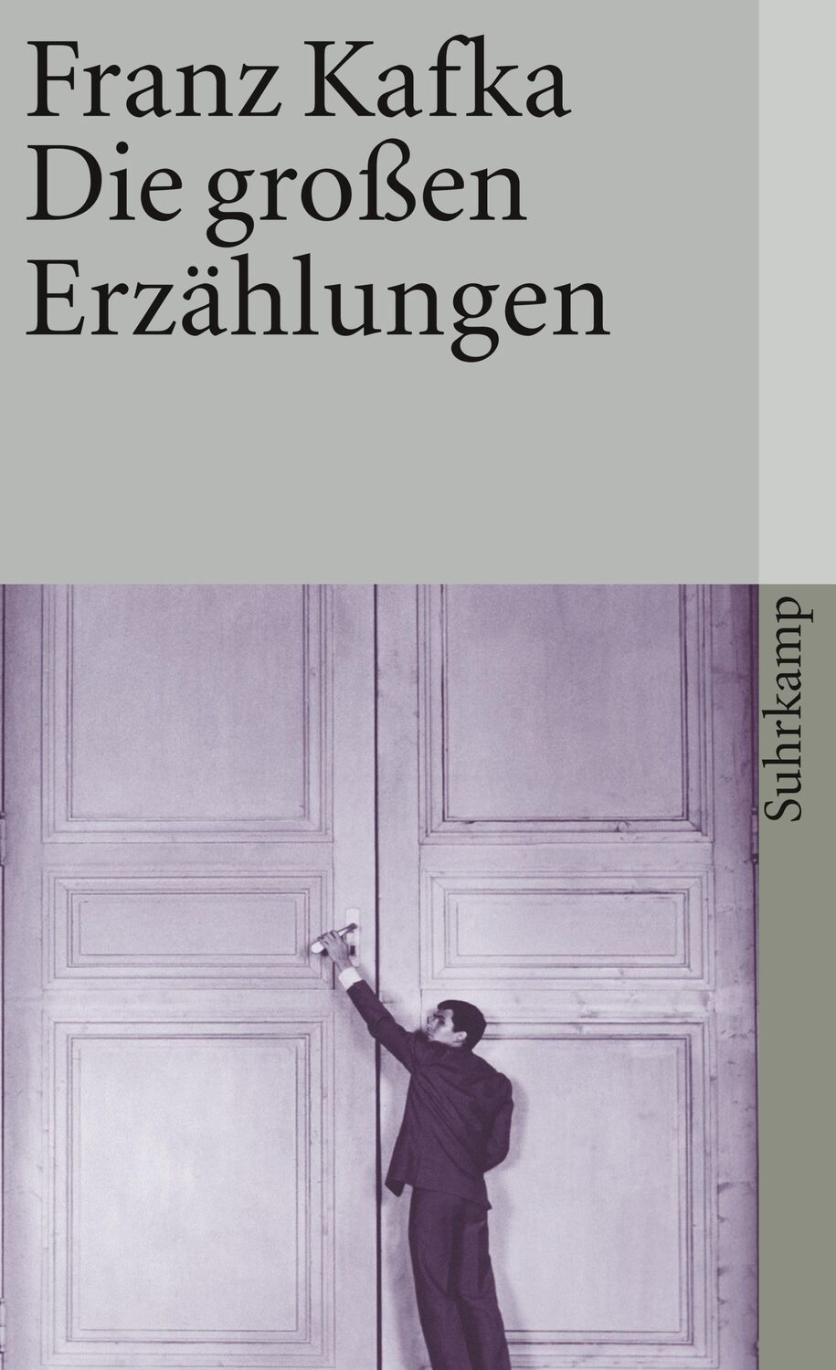 Cover: 9783518456224 | Die großen Erzählungen | Franz Kafka | Taschenbuch | 248 S. | Deutsch