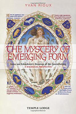 Cover: 9781912230020 | The Mystery of Emerging Form | Yvan Rioux | Taschenbuch | Englisch