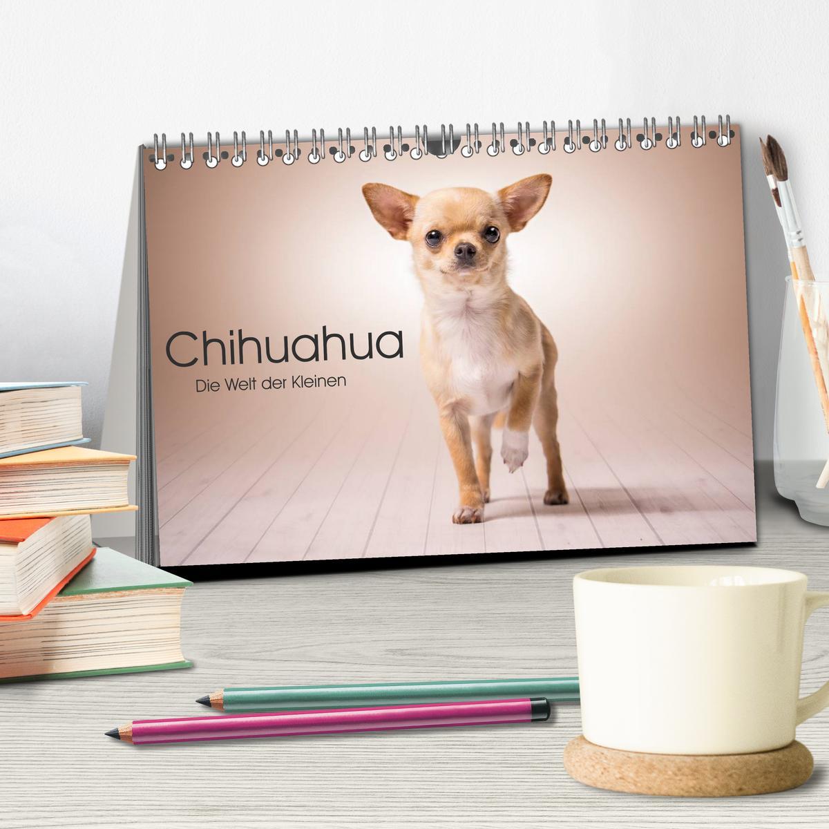 Bild: 9783435527809 | Chihuahua - Die Welt der Kleinen (Tischkalender 2025 DIN A5 quer),...