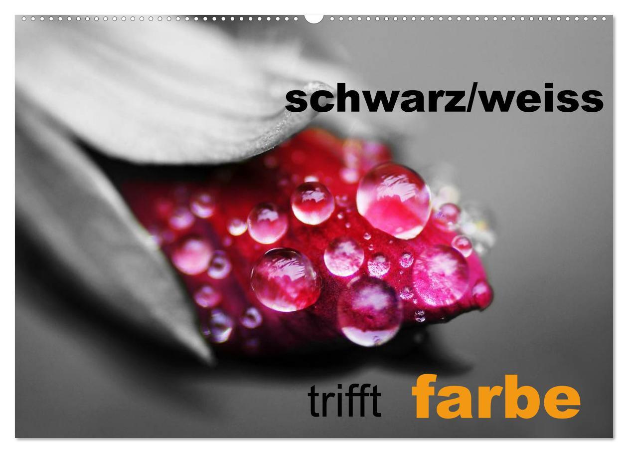 Cover: 9783435752812 | schwarz/weiß trifft farbe (Wandkalender 2025 DIN A2 quer), CALVENDO...