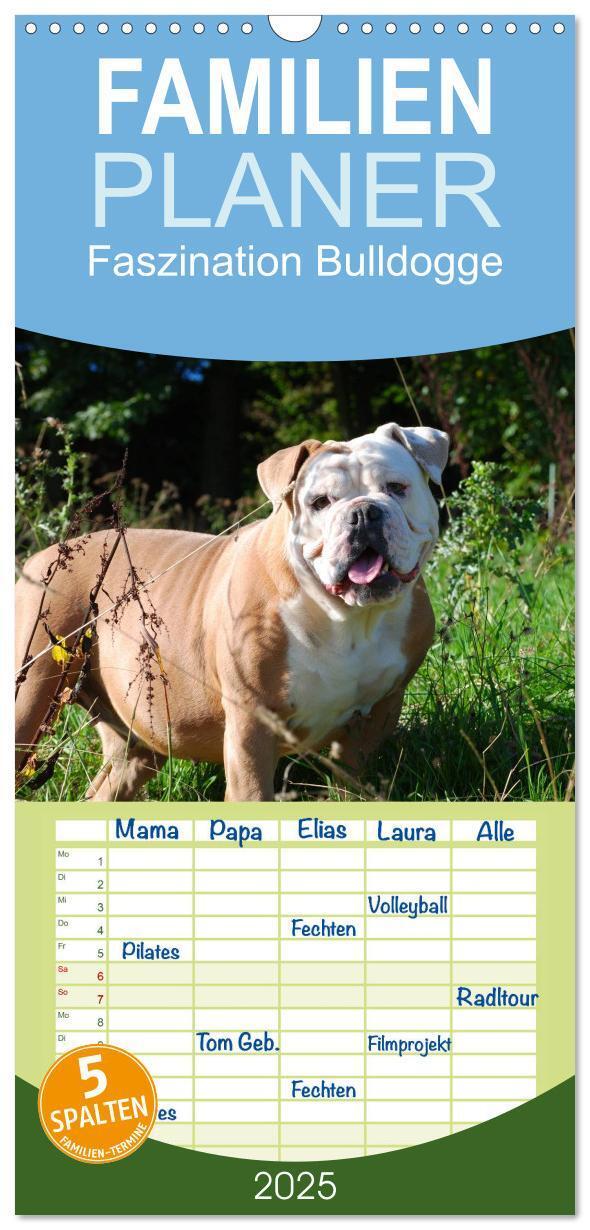 Cover: 9783457110621 | Familienplaner 2025 - Faszination Bulldogge mit 5 Spalten...