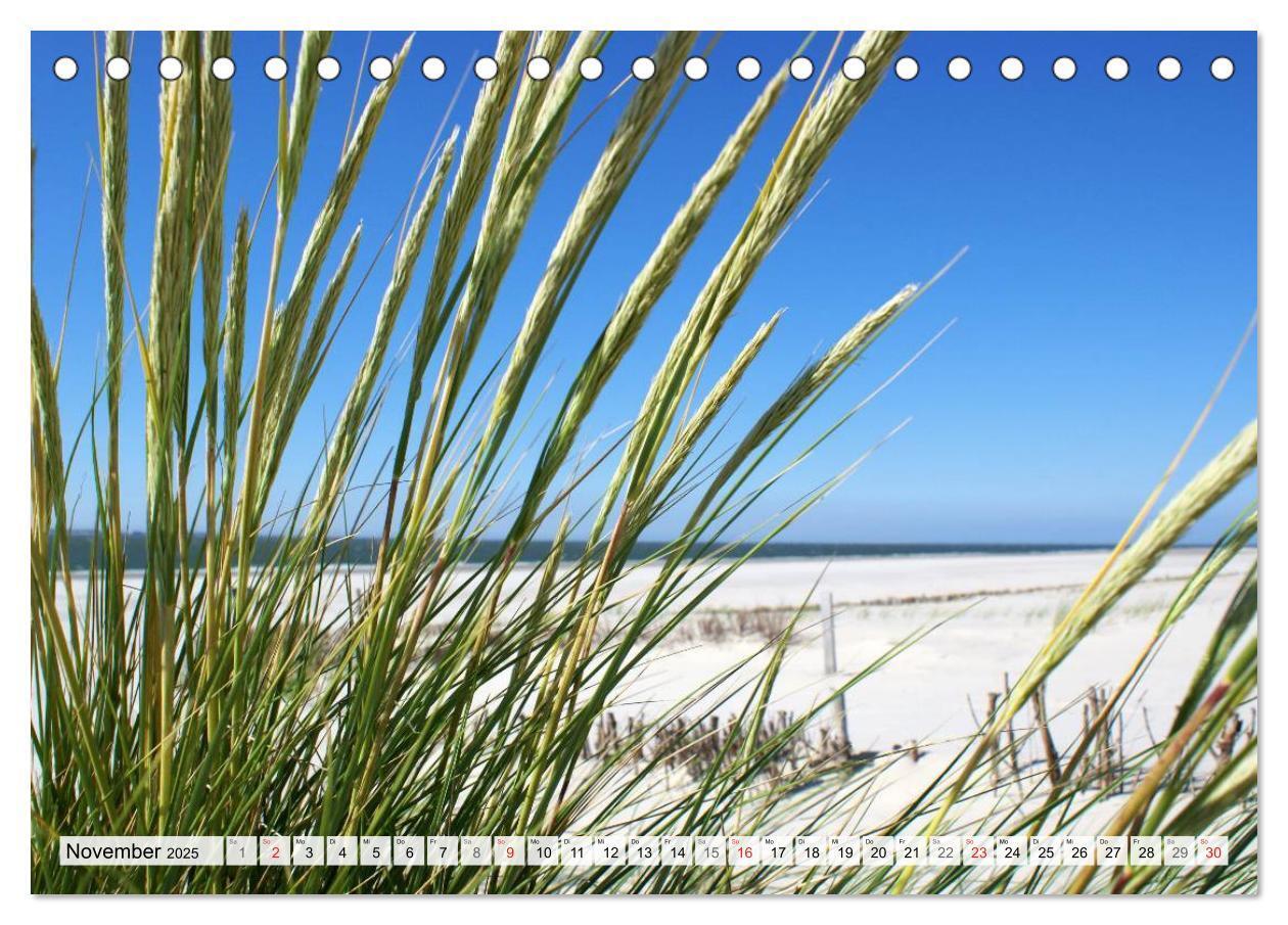 Bild: 9783435481385 | Amrum ¿ Trauminsel in der Nordsee (Tischkalender 2025 DIN A5 quer),...