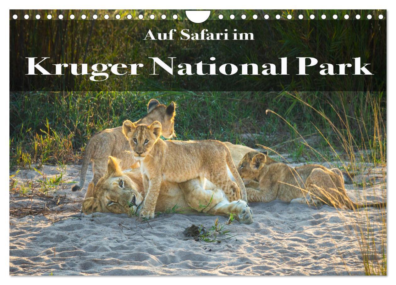 Cover: 9783383967399 | Auf Safari im Kruger National Park (Wandkalender 2025 DIN A4 quer),...