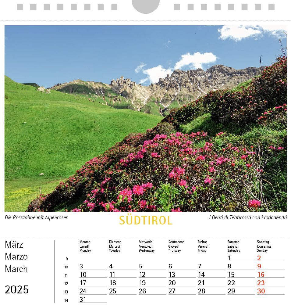 Bild: 9788887531657 | Südtirol 025, Postkartenkalender Querformat | Kalender | 2025