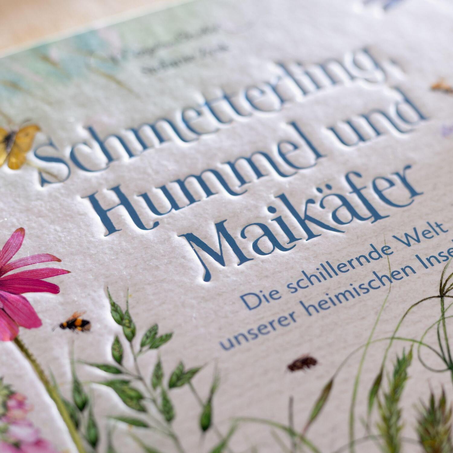 Bild: 9783649644736 | Schmetterling, Hummel und Maikäfer | Stefanie Zysk | Buch | 144 S.