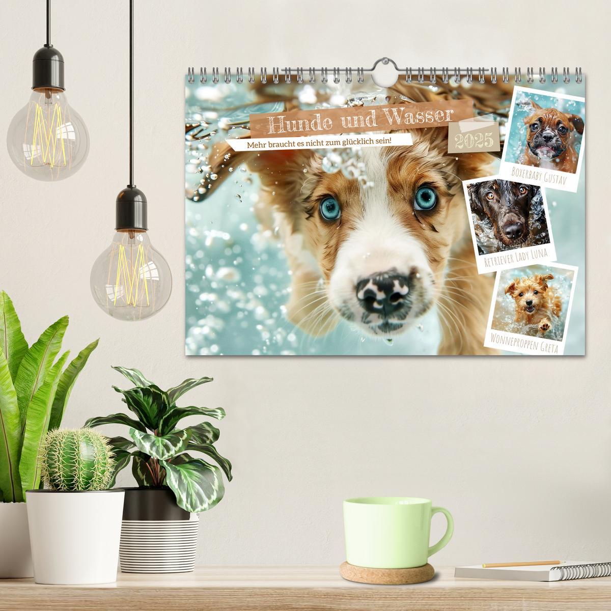 Bild: 9783457129227 | Hunde und Wasser (Wandkalender 2025 DIN A4 quer), CALVENDO...