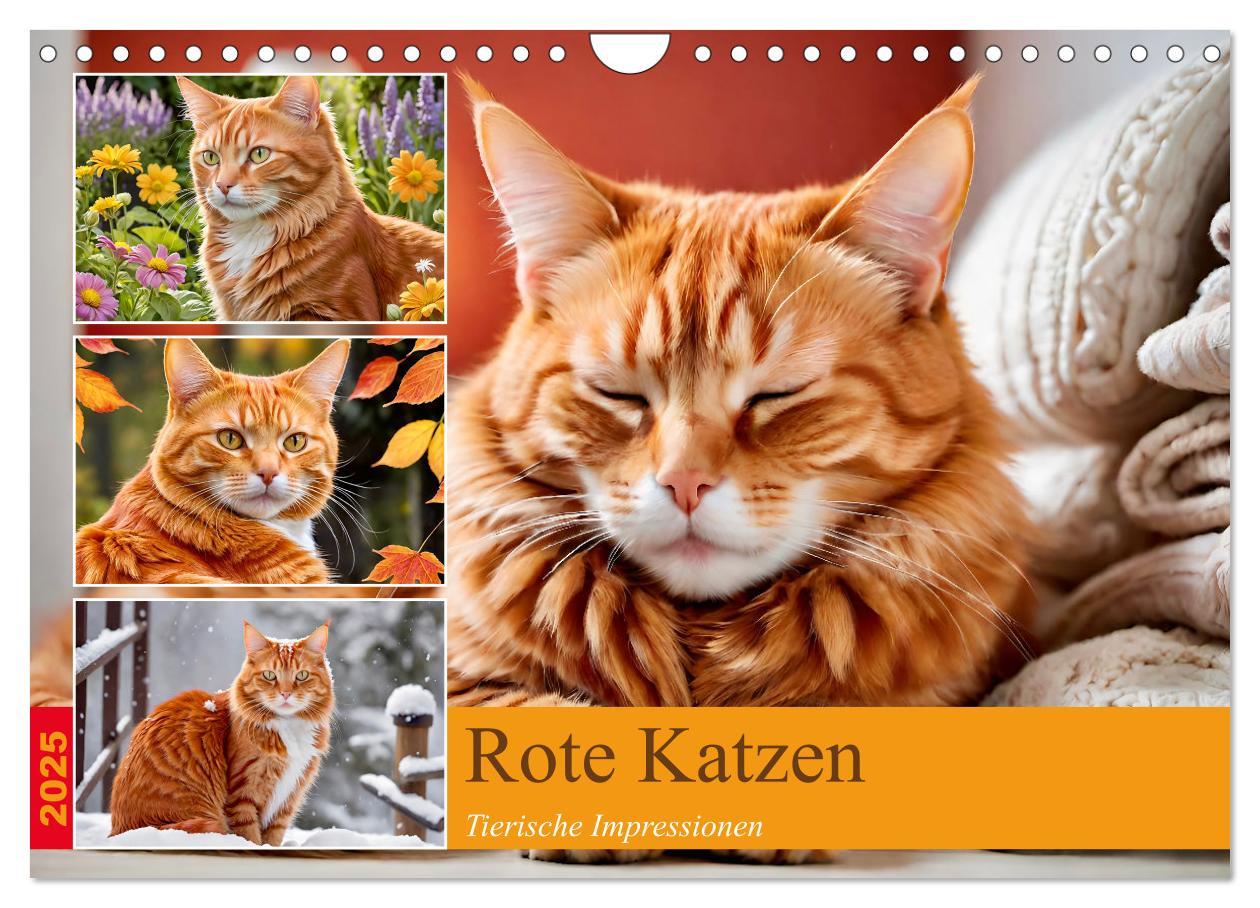 Cover: 9783383817830 | Rote Katzen (Wandkalender 2025 DIN A4 quer), CALVENDO Monatskalender