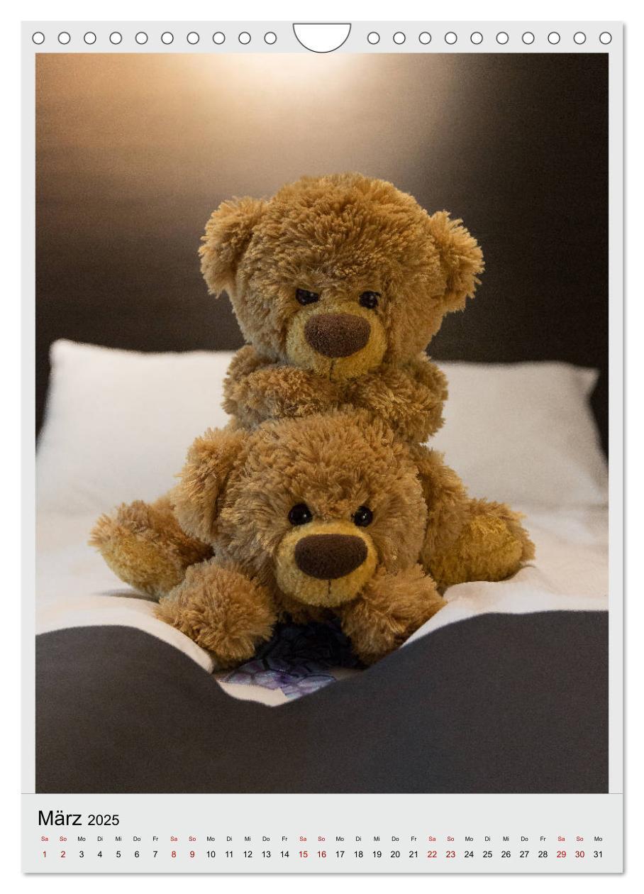 Bild: 9783435985371 | Travelling Teddy in Europa (Wandkalender 2025 DIN A4 hoch),...