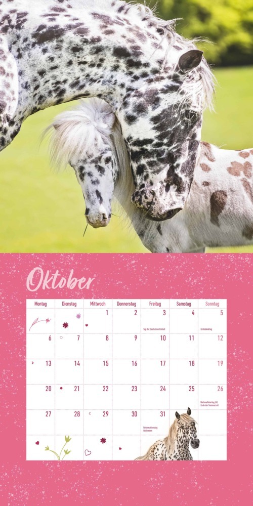 Bild: 4250809652801 | DUMONT - Pferdefreunde 2025 Broschürenkalender, 30x30cm,...