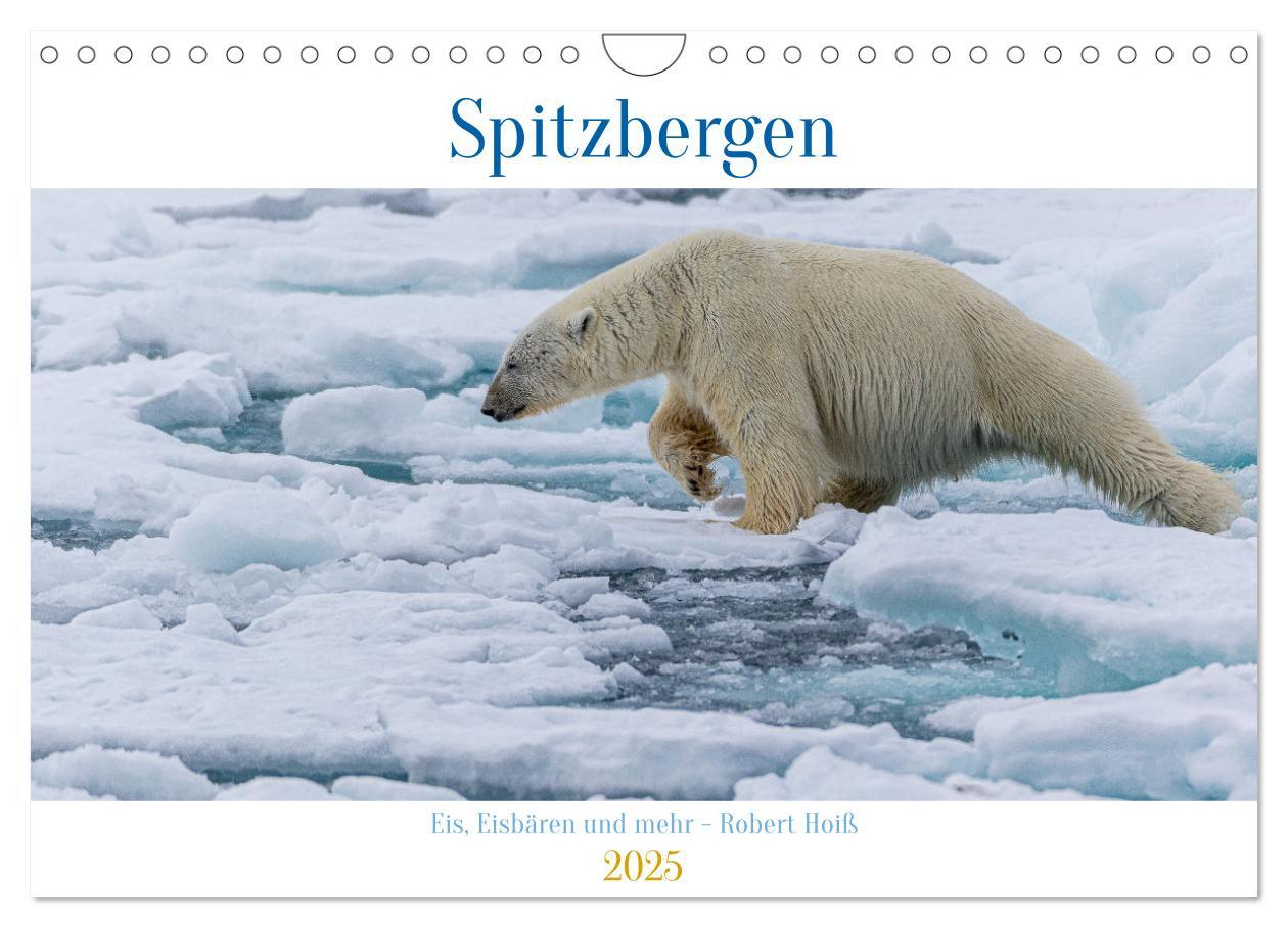 Cover: 9783457228692 | Spitzbergen - Eis, Eisbären und mehr (Wandkalender 2025 DIN A4...