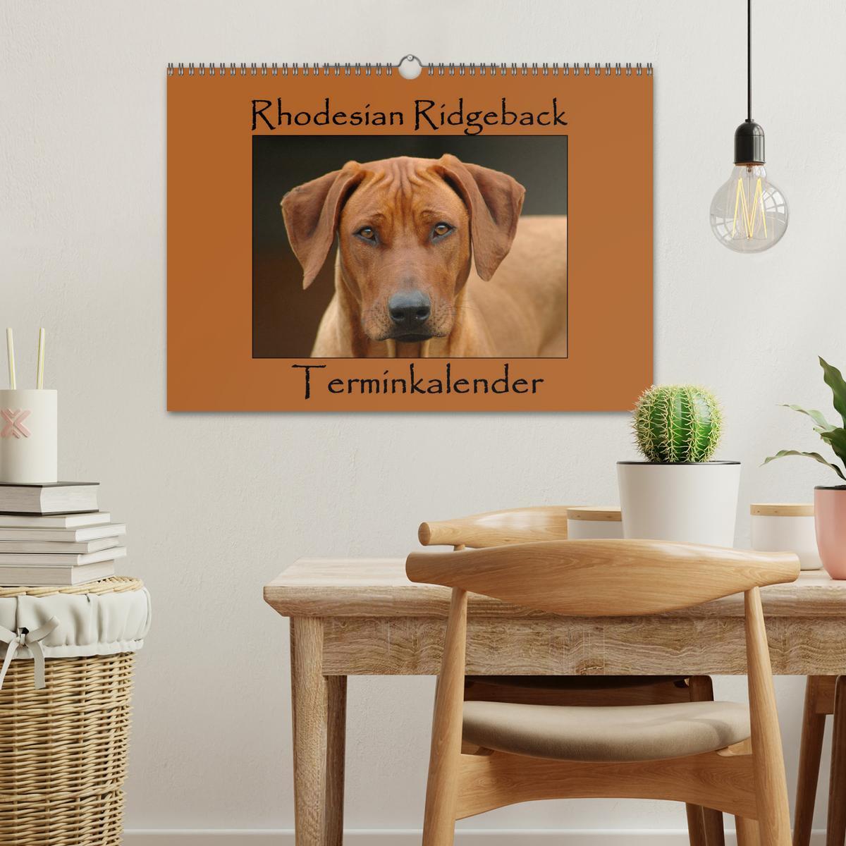 Bild: 9783435454617 | Rhodesian Ridgeback Terminkalender (Wandkalender 2025 DIN A3 quer),...