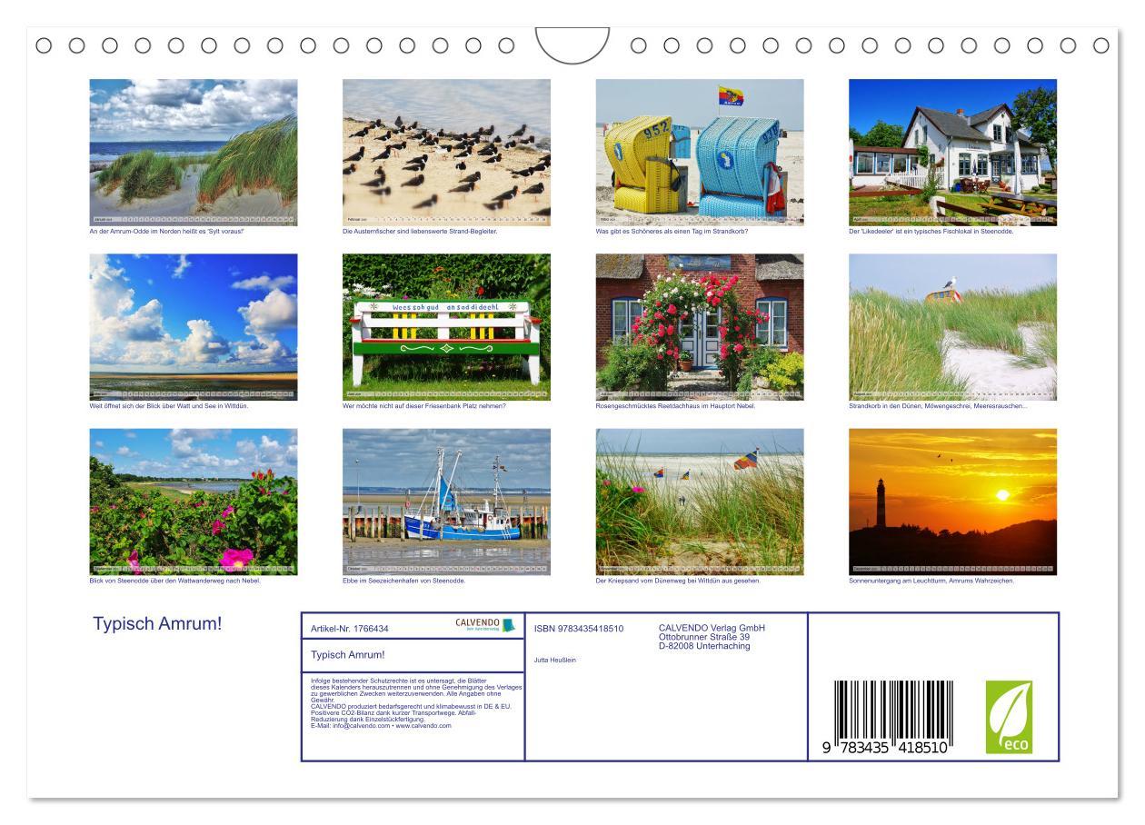 Bild: 9783435418510 | Typisch Amrum! (Wandkalender 2025 DIN A4 quer), CALVENDO...