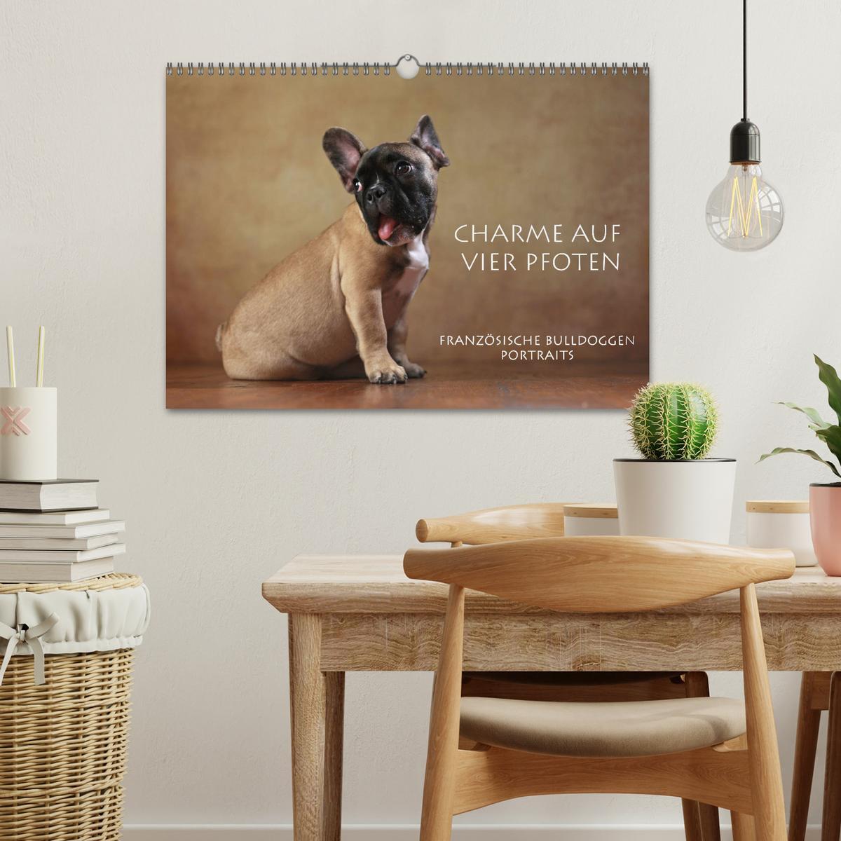 Bild: 9783435434855 | Charme auf vier Pfoten - Französische Bulldoggen Portraits...