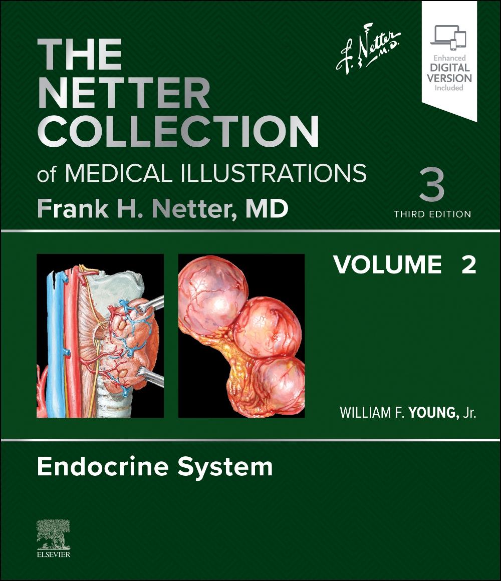 Cover: 9780323881265 | The Netter Collection of Medical Illustrations: Endocrine System,...