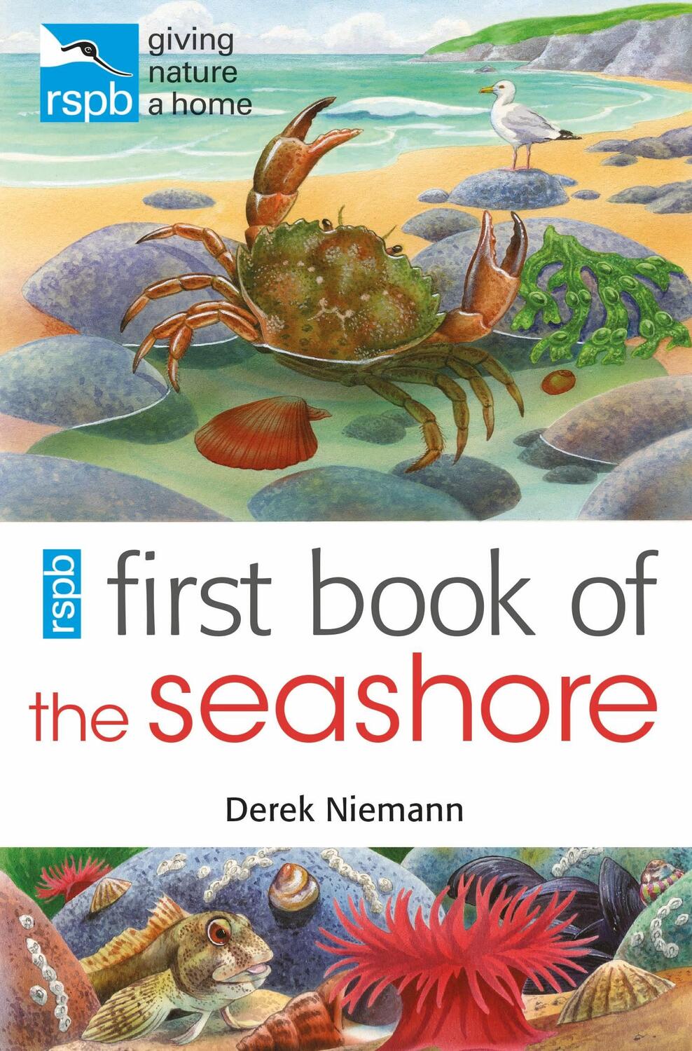 Cover: 9781408165690 | RSPB First Book Of The Seashore | Derek Niemann | Taschenbuch | 2012