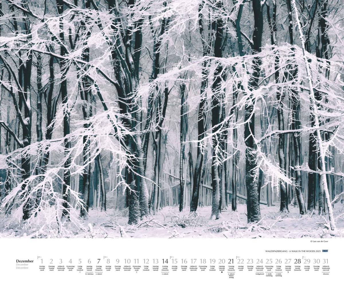 Bild: 4250809653426 | Waldspaziergang 2025 - Fotokunst-Kalender - Querformat 60 x 50 cm -...