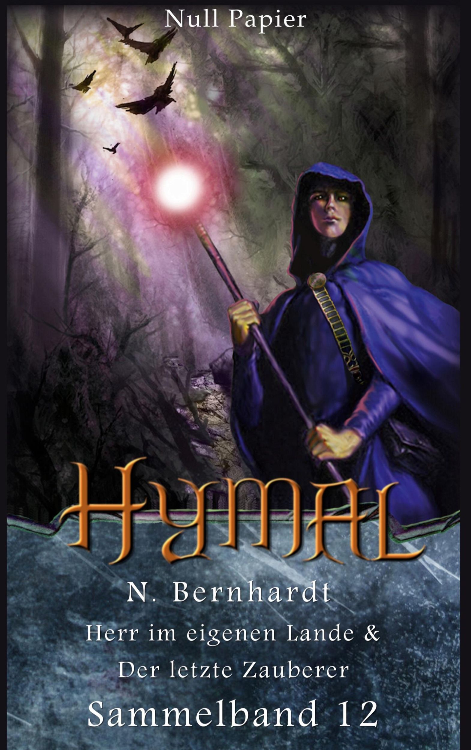 Cover: 9783962814229 | Der Hexer von Hymal - Sammelband 12 | N. Bernhardt | Taschenbuch