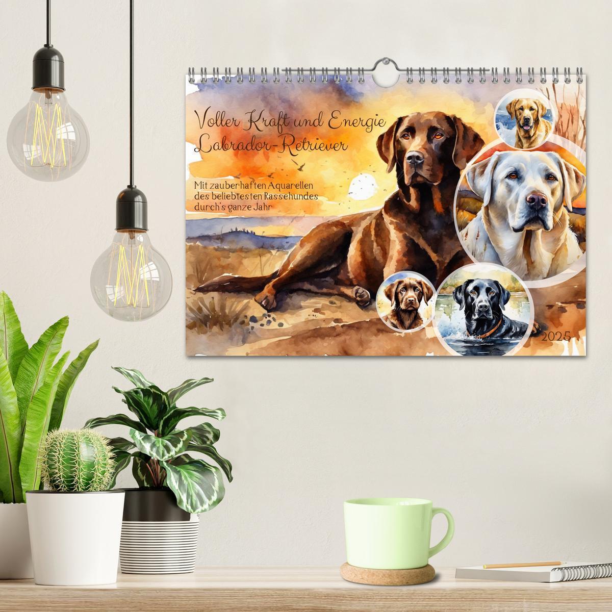 Bild: 9783383822575 | Voller Kraft und Energie - Labrador-Retriever (Wandkalender 2025...