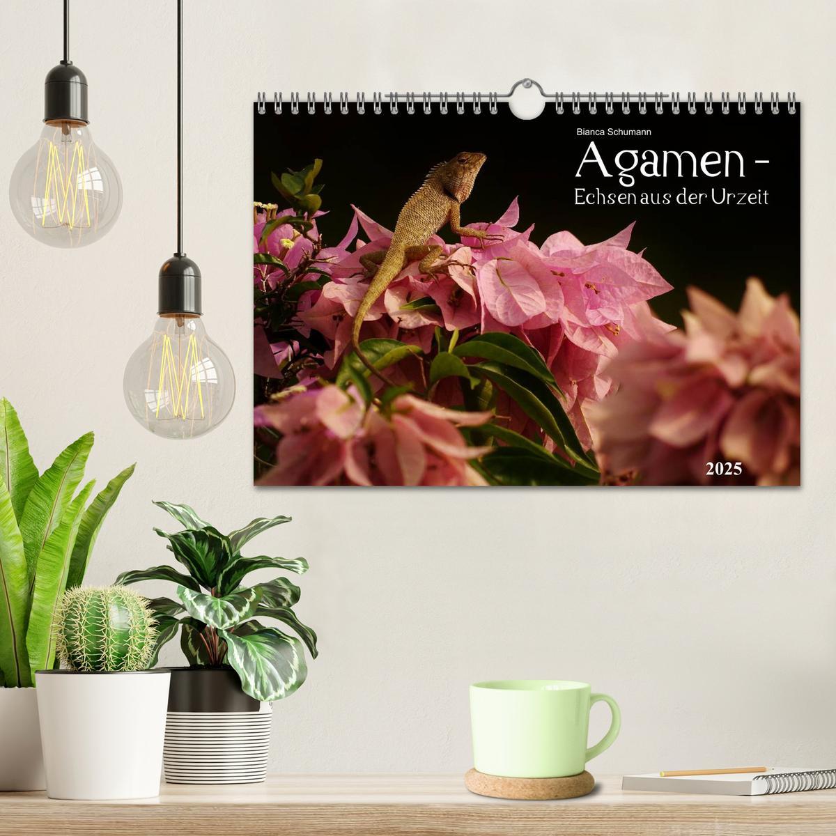 Bild: 9783435691470 | Agamen - Echsen aus der Urzeit (Wandkalender 2025 DIN A4 quer),...