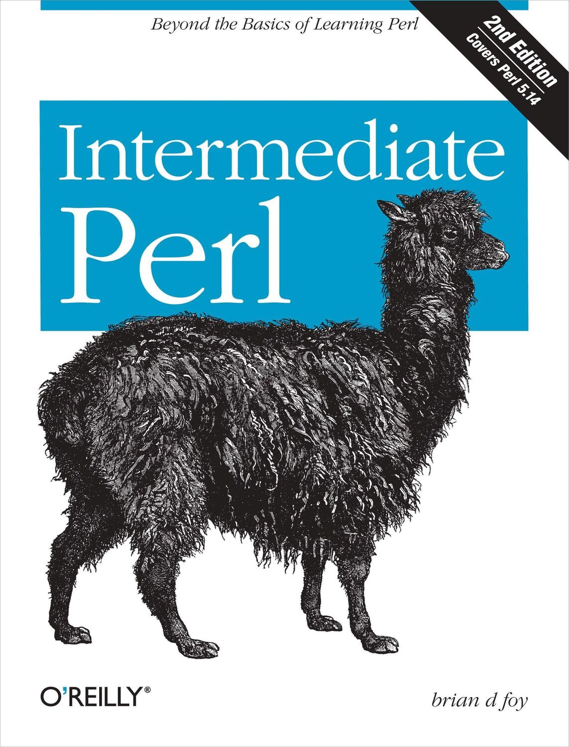 Cover: 9781449393090 | Intermediate Perl | Beyond the Basics of Learning Perl | Taschenbuch