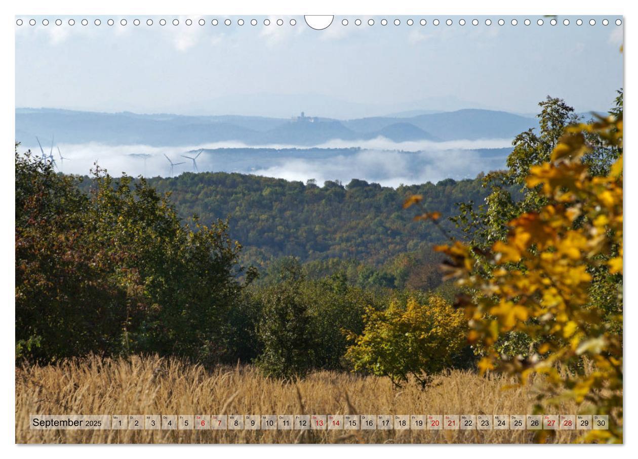 Bild: 9783435385546 | Der Hainich in Thüringen - Weltnaturerbe (Wandkalender 2025 DIN A3...