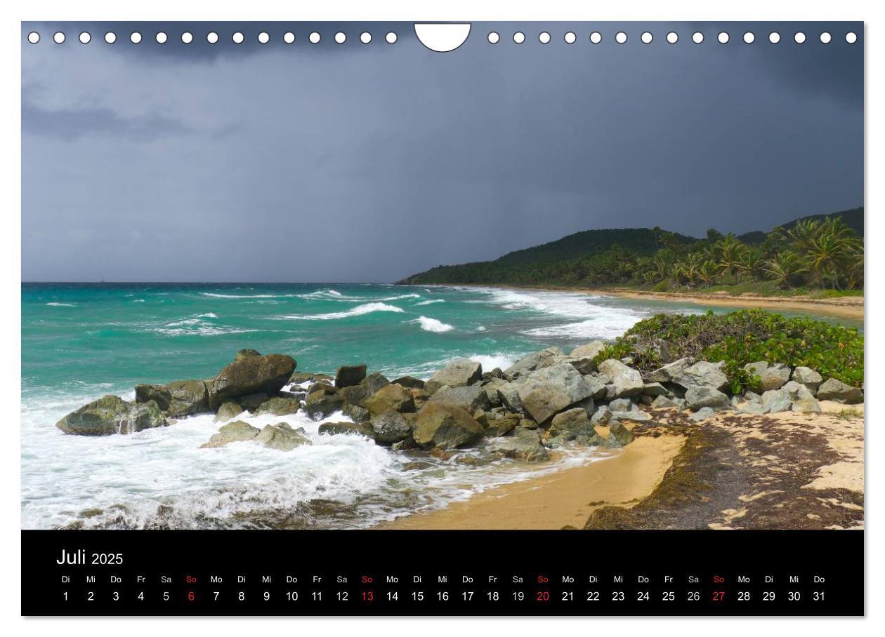 Bild: 9783435461820 | Trauminsel Puerto Rico (Wandkalender 2025 DIN A4 quer), CALVENDO...