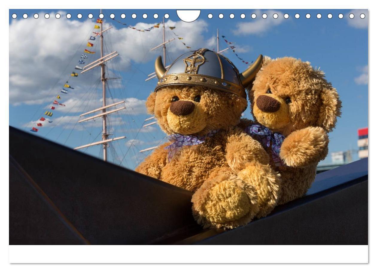 Bild: 9783435503414 | Travelling Teddy 2025 (Wandkalender 2025 DIN A4 quer), CALVENDO...