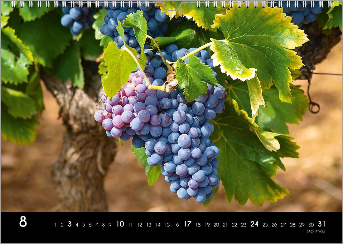 Bild: 9783969030981 | Der Weinkalender 2025, DIN A4 - ein Fotokalender | Peter Bach Jr.