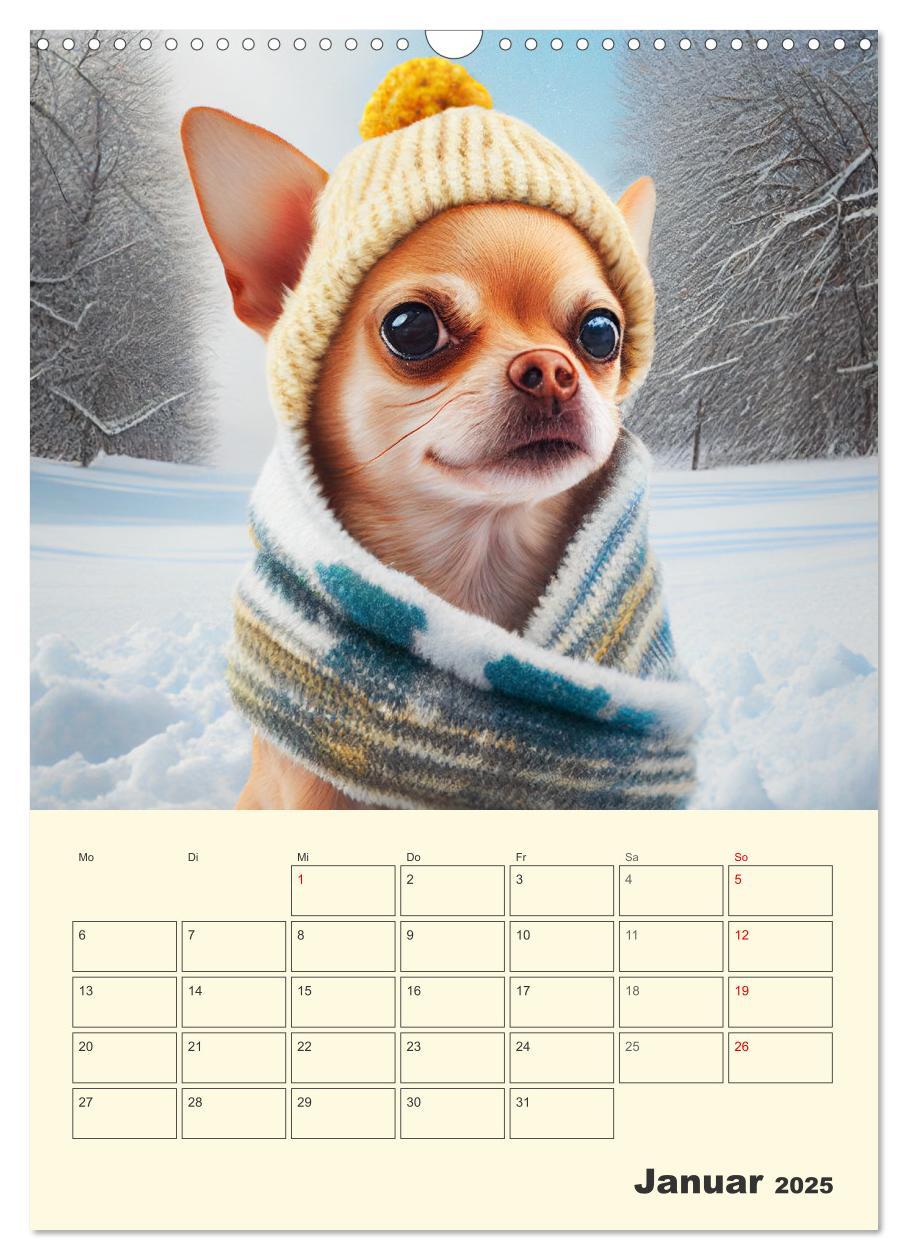 Bild: 9783435875672 | Witzige Chihuahuas. Glückliche Temperamentbündel (Wandkalender 2025...