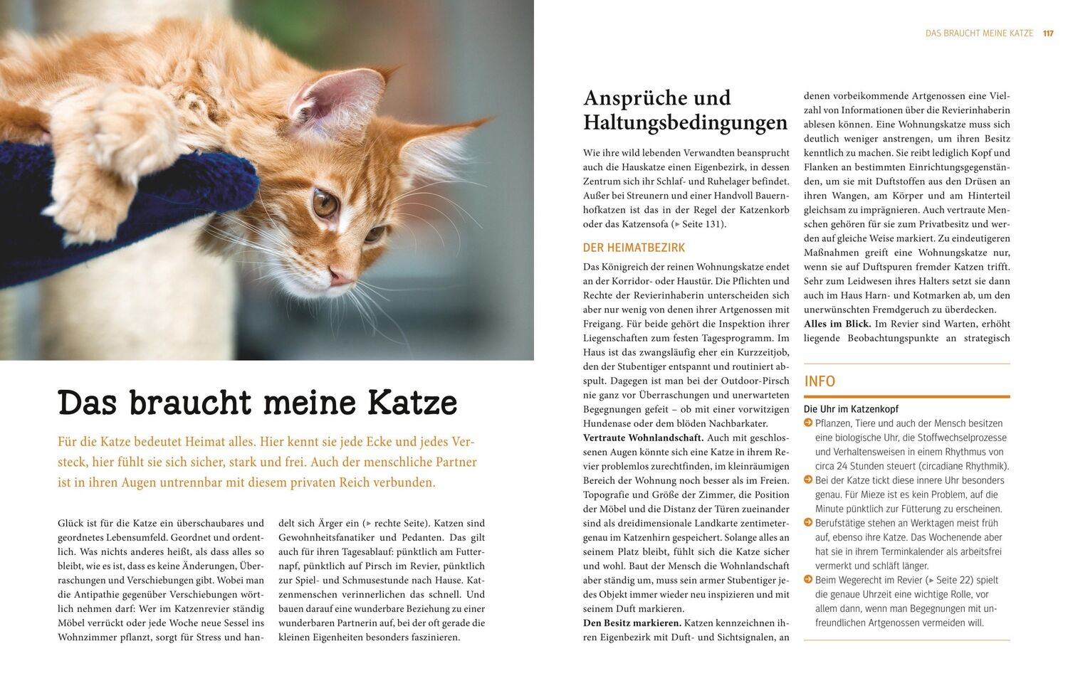 Bild: 9783833828751 | Katzen. Das große Praxishandbuch | Gerd Ludwig | Buch | 288 S. | 2016