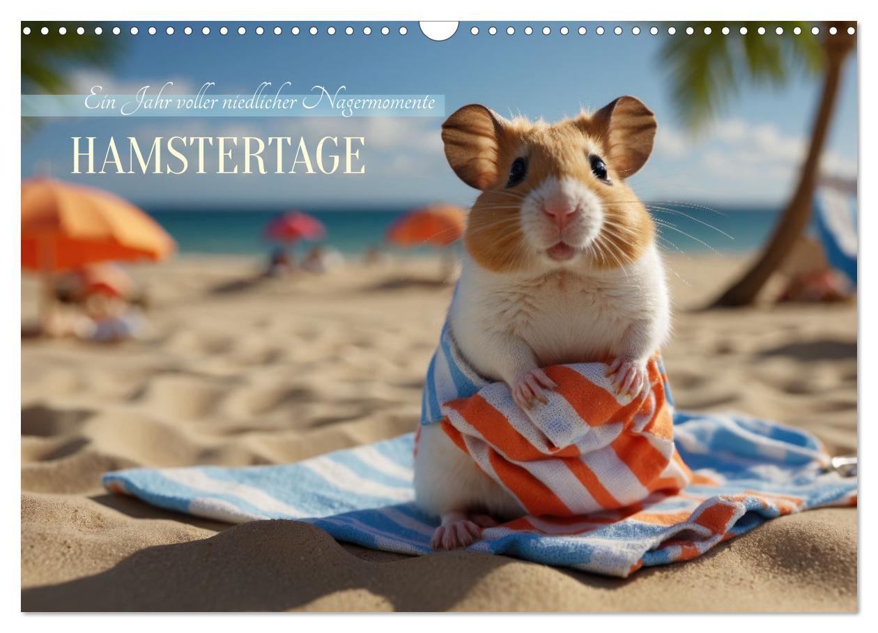 Cover: 9783383839214 | Hamstertage (Wandkalender 2025 DIN A3 quer), CALVENDO Monatskalender