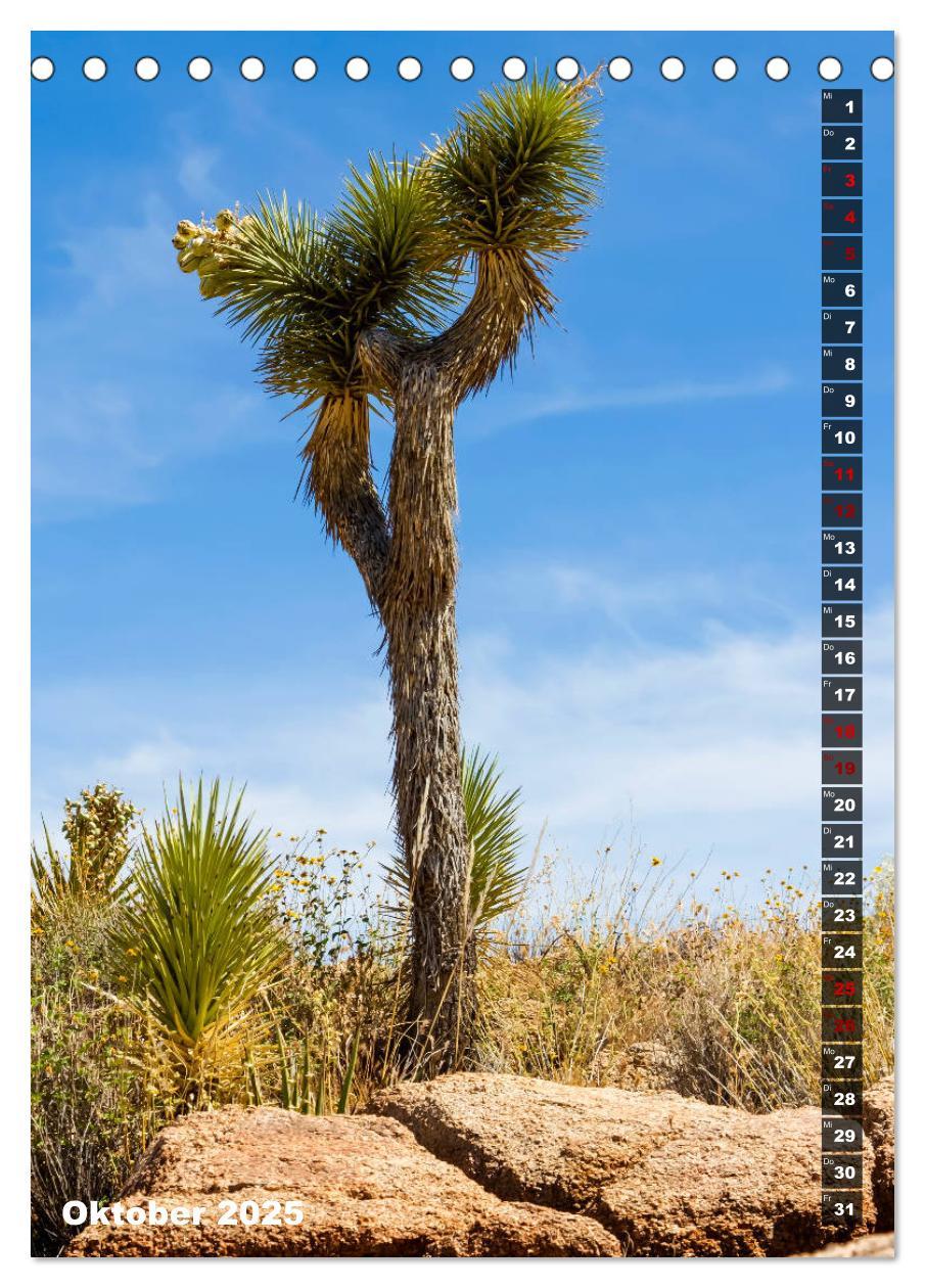 Bild: 9783435961108 | Impressionen aus dem JOSHUA TREE NATIONAL PARK (Tischkalender 2025...